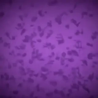 purple screen wallpaper