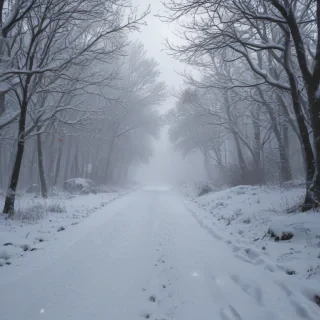 snow falling png