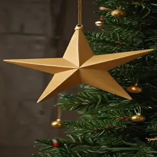 xmas star pictures