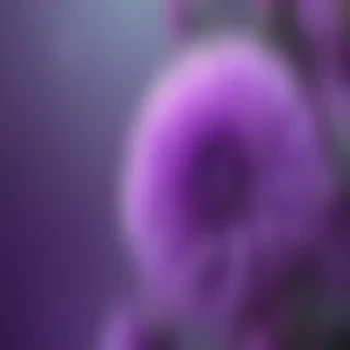 cute purple wallpaper for iphone