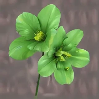 green flower png