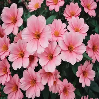 flower background iphone