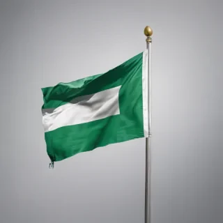 nigeria flag png