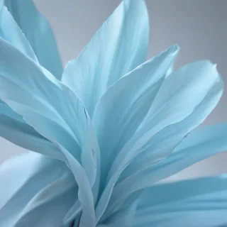 light blue wallpaper iphone