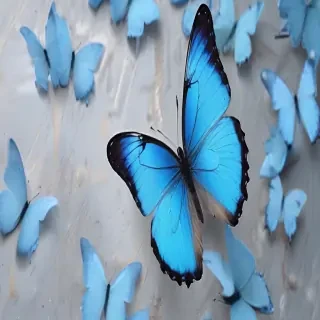 aesthetic blue butterfly