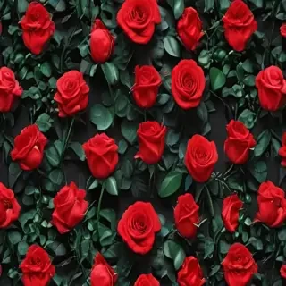 red roses aesthetic