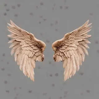 wings transparent background
