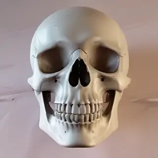 skull aesthetic
