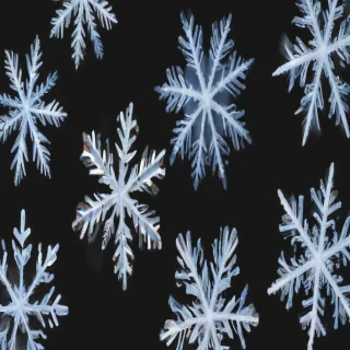 transparent snowflakes
