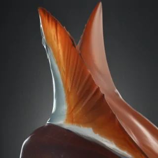 shark fin png