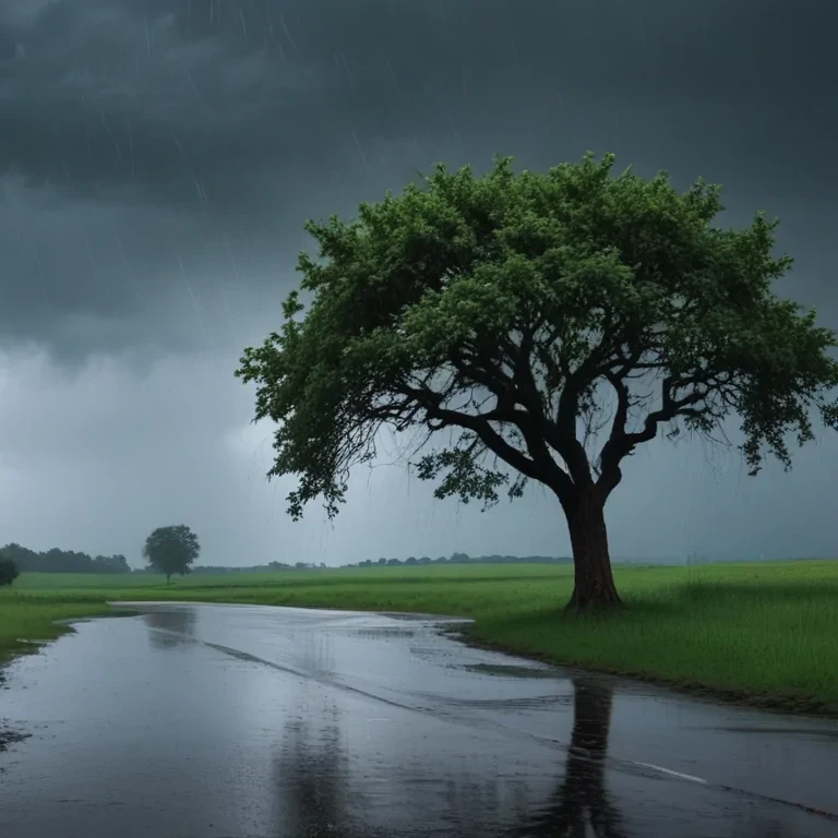 rainy backgrounds