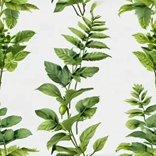 plants transparent background