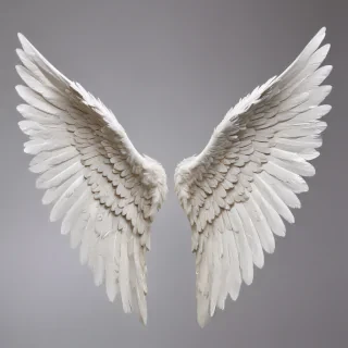 picture of angel wings
