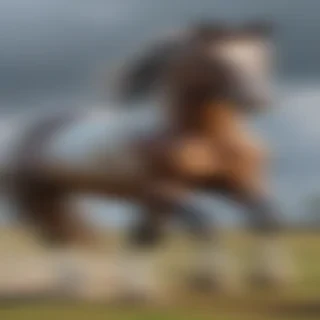horse image for drawing