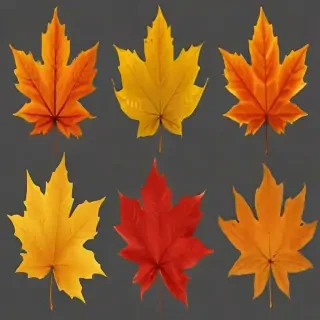 autumn leaves png