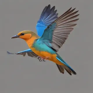 bird pngs