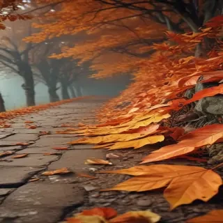 fall wallpaper for iphone