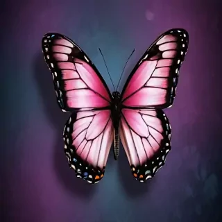 butterfly wallpaper iphone