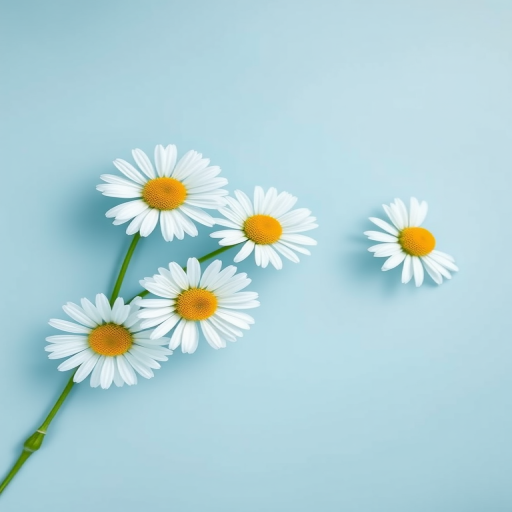Create a minimalistic design featuring white daisies with yellow centers against a soft blue background, using a Canon EOS R5 with an aperture of f/2.8, ISO 100, 50mm lens, overhead view, and soft natural lighting for enhanced image quality.
