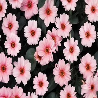 aesthetic flower background