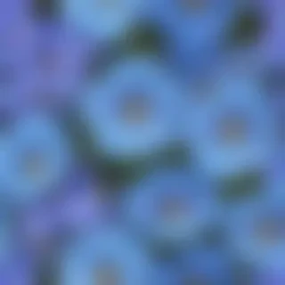 blue flowers background