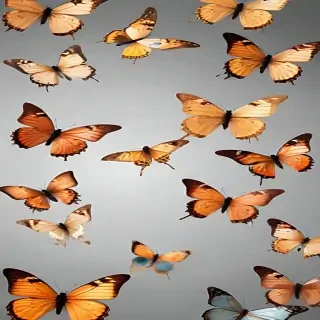 butterflies transparent background