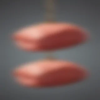 ham png
