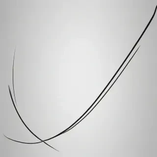 curved line png