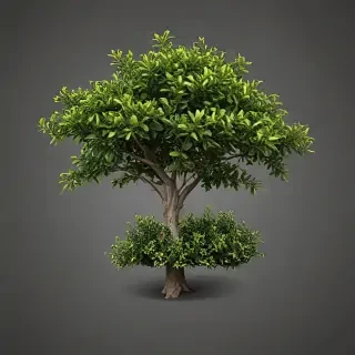 shrub png