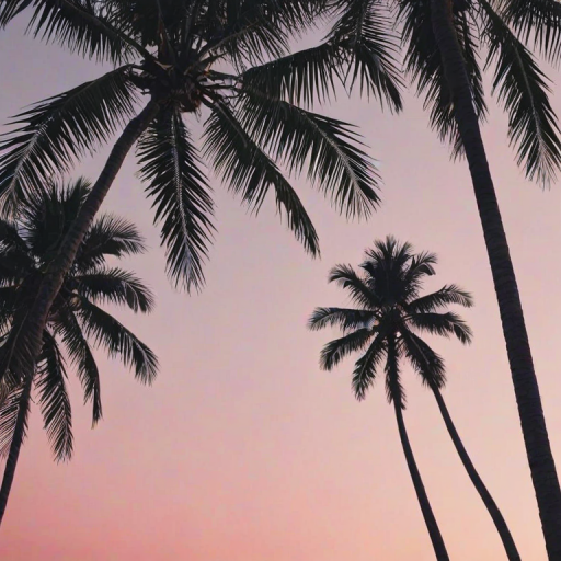 aesthetic palm tree wallpaper