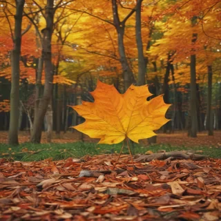 fall background iphone