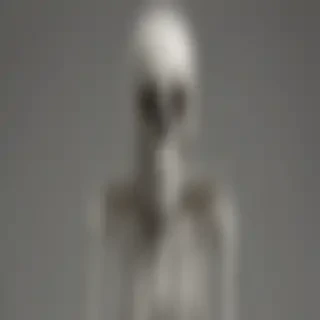 skeleton transparent