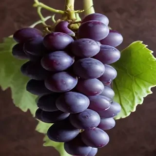 grape png