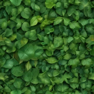 green leaf background