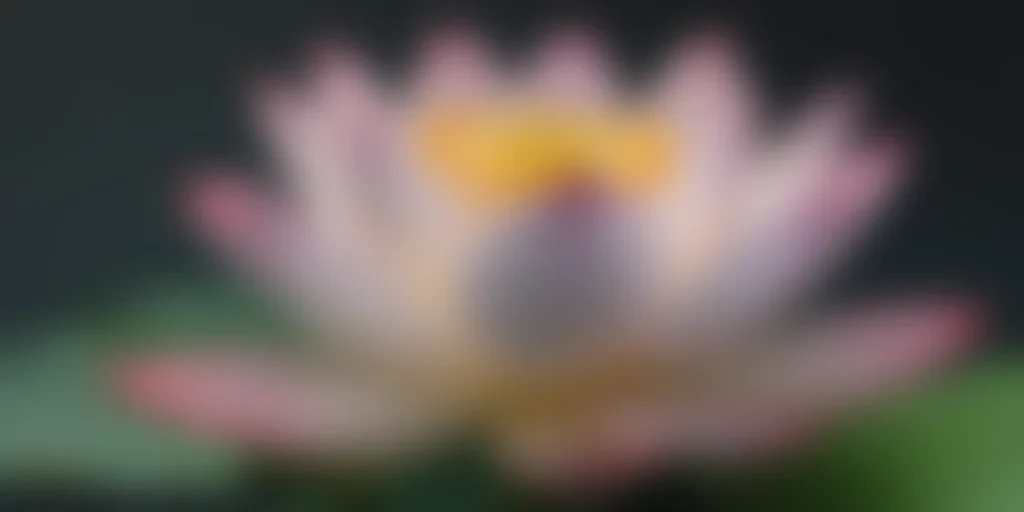 lotus png