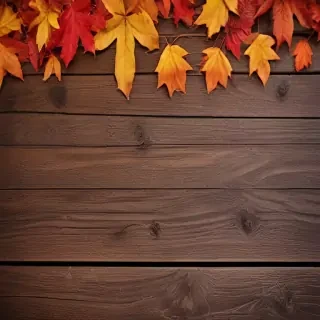 autumn iphone wallpaper