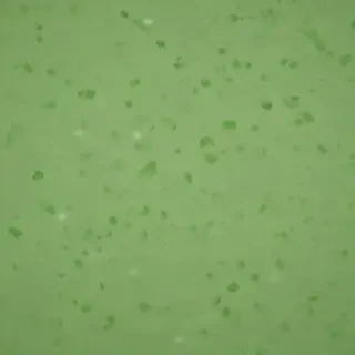 green background plain