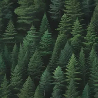 green forest aesthetic
