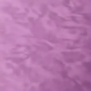 mauve background