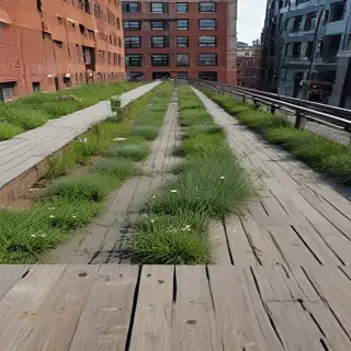 high line photos