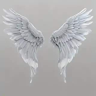 angle wings png