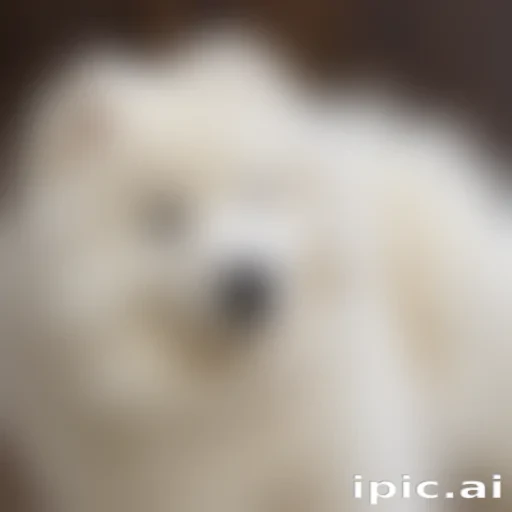 samoyed dog breed