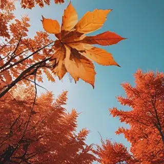 fall aesthetic wallpaper iphone