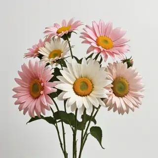 aesthetic flowers transparent background