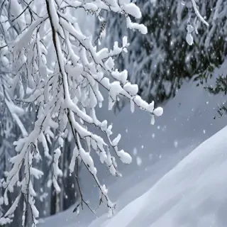 snow pngs