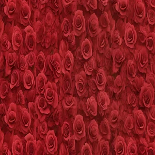 rose backgrounds