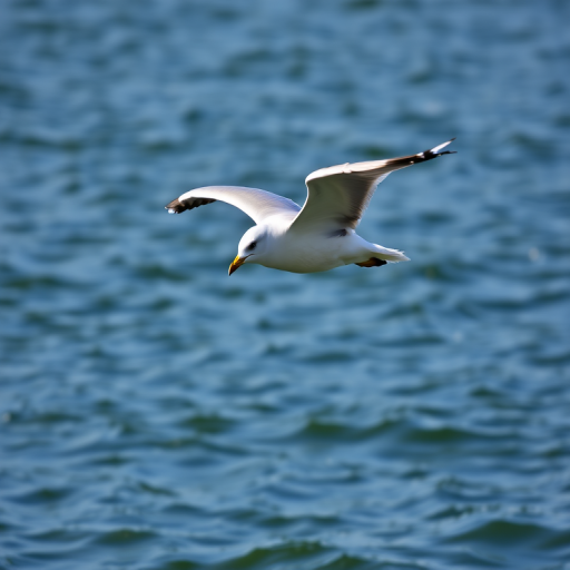 Capture a close-up shot of a seagull in flight above calm water, with shallow depth of field, f/4 aperture, ISO 200, 1/1000s shutter speed, using a DSLR camera with a 70-200mm lens, side view, natural lighting.