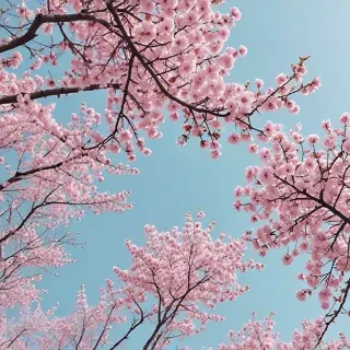 spring aesthetic wallpaper