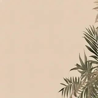 aesthetic beige wallpapers