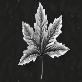 clipart leaf black and white